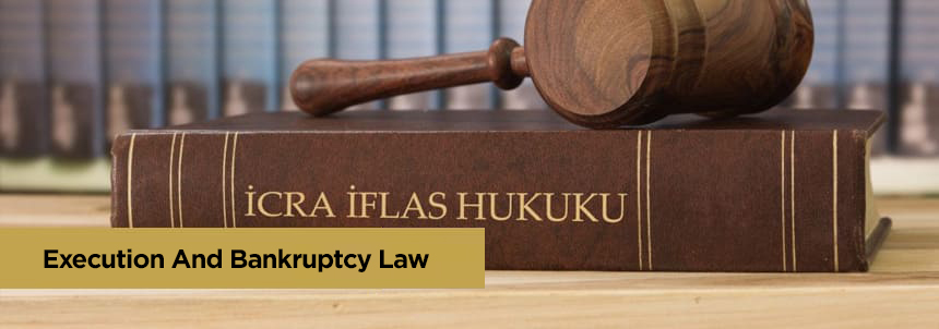 What is Execution and Bankruptcy Law?